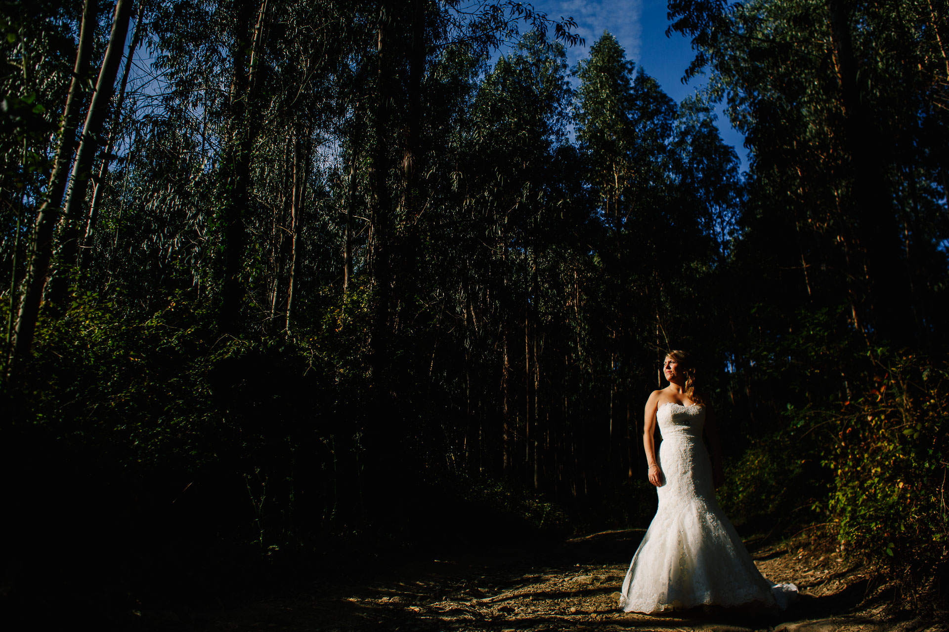 post boda en el bosque bakio