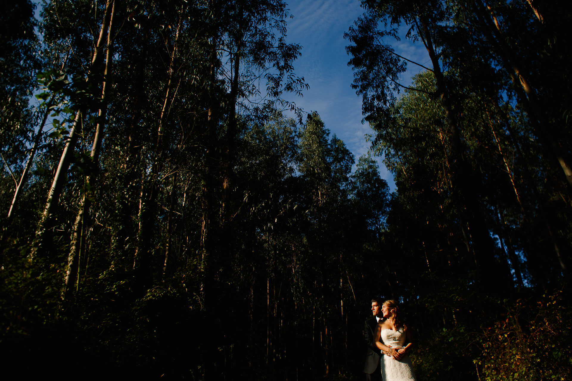 post boda en el bosque bakio