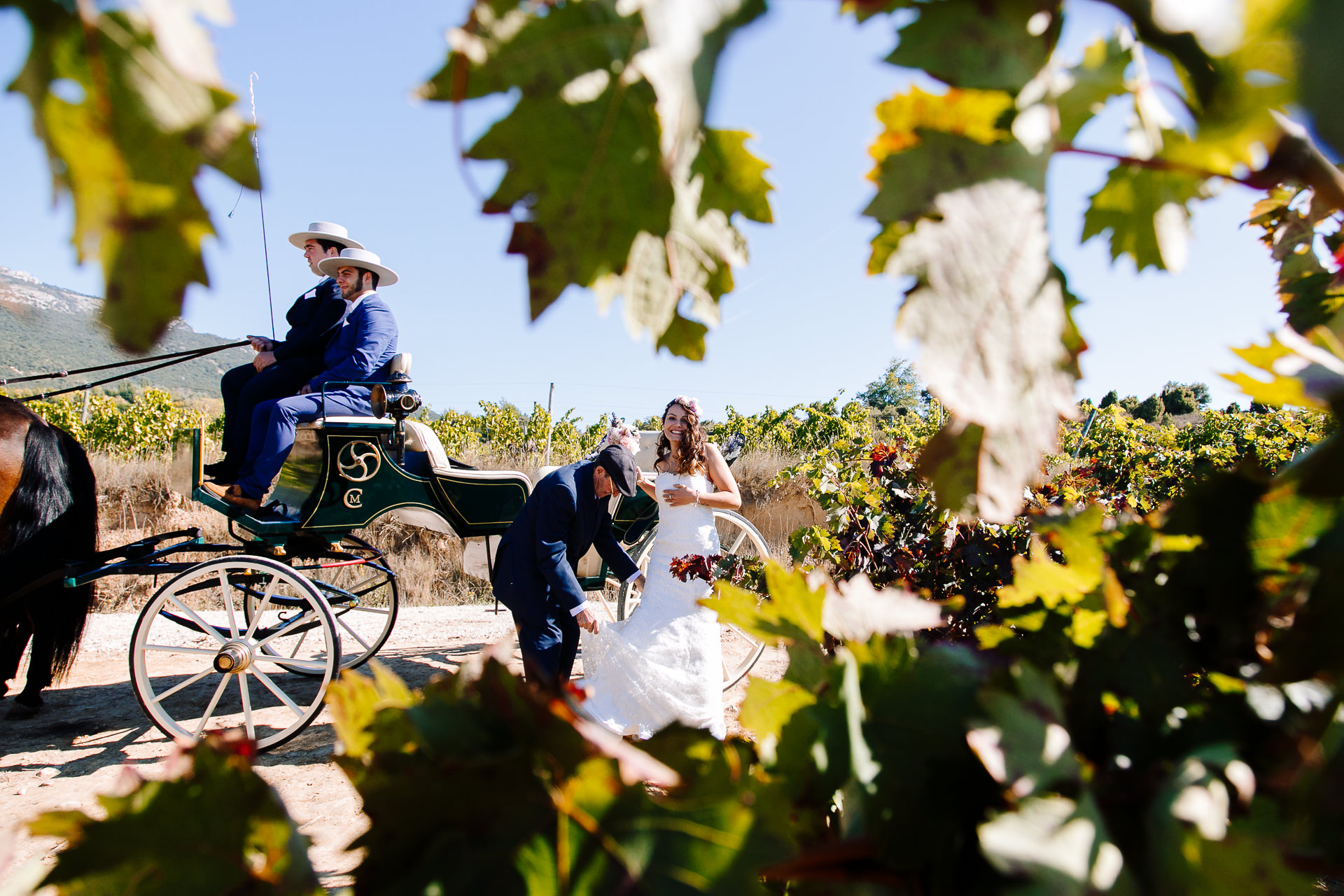 boda civil vinedos larioja lola berantevilla 133026