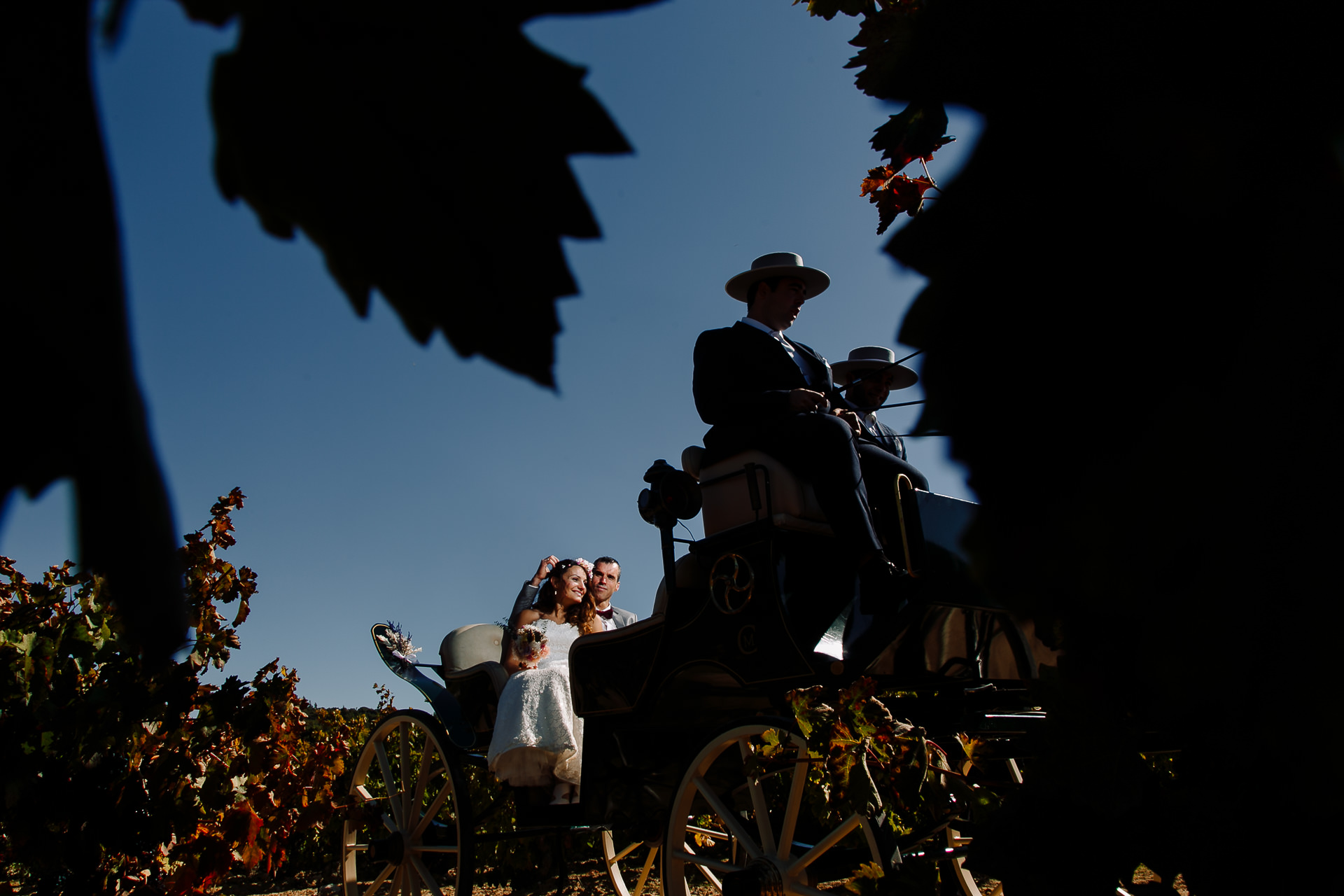 boda civil vinedos larioja lola berantevilla 142642