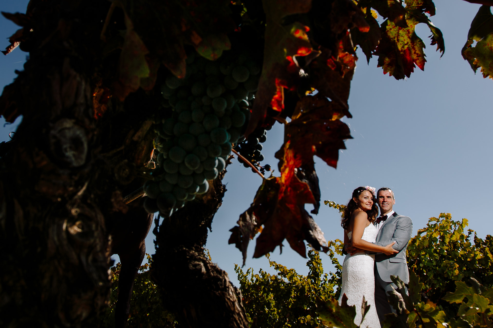 boda civil vinedos larioja lola berantevilla 143021