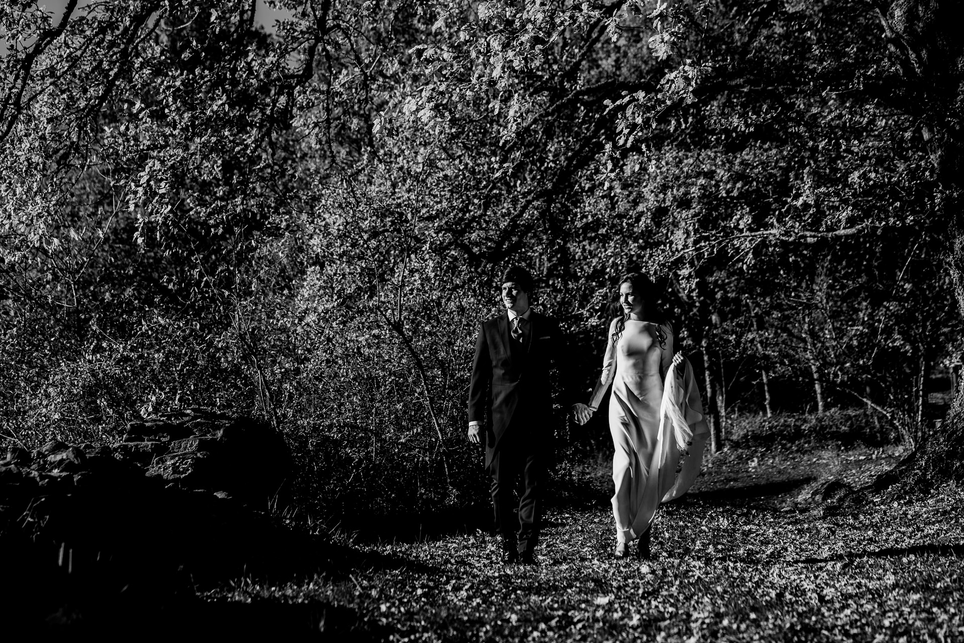 postboda en el hayedo de otzarreta