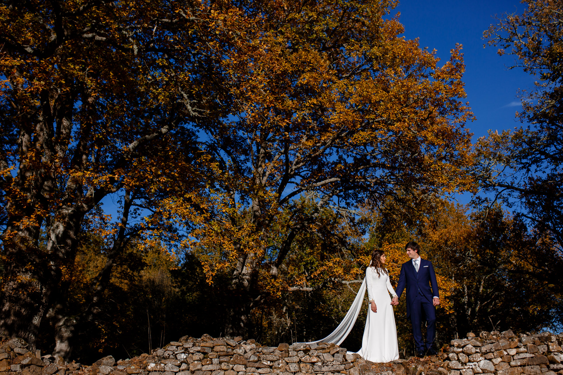 postboda en el hayedo de otzarreta