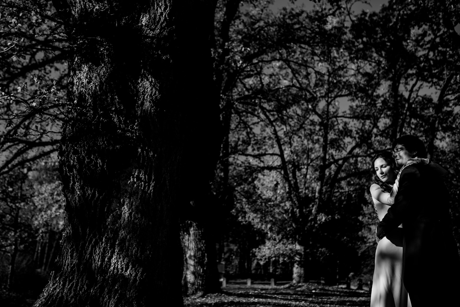 post boda gorbea hayedo otzarreta 164729