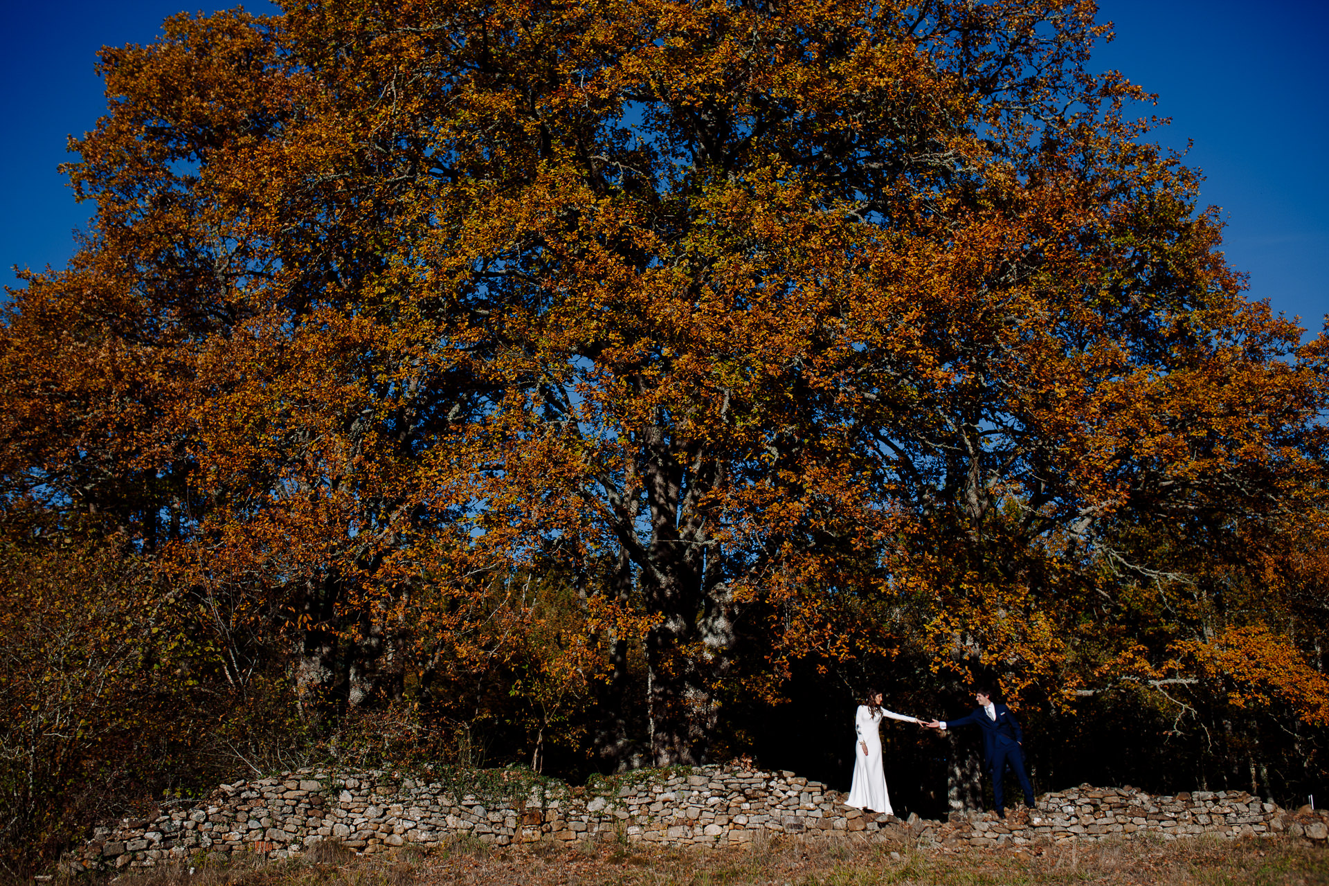 postboda en el hayedo de otzarreta