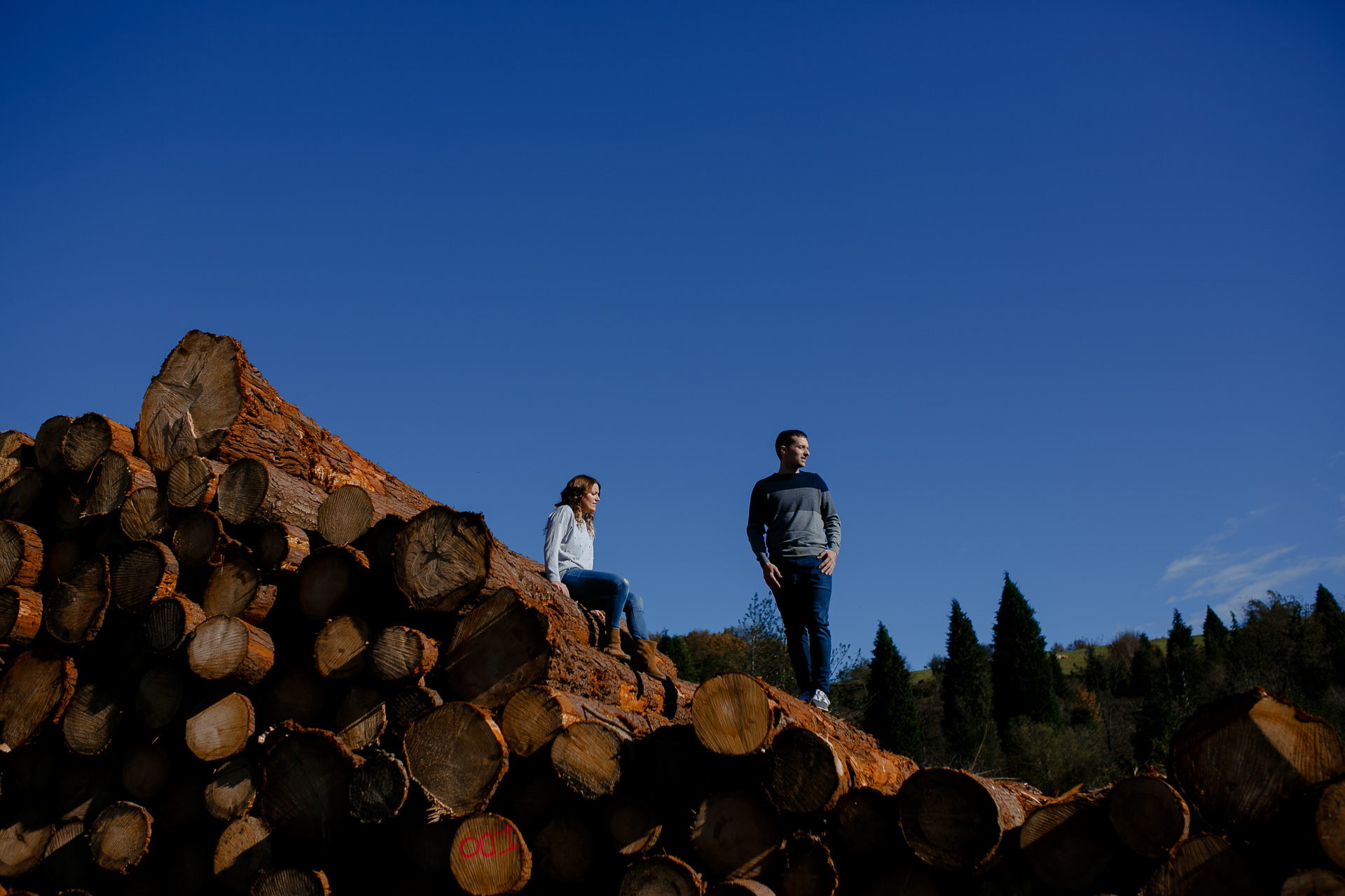 preboda hayedo otzarreta otoño