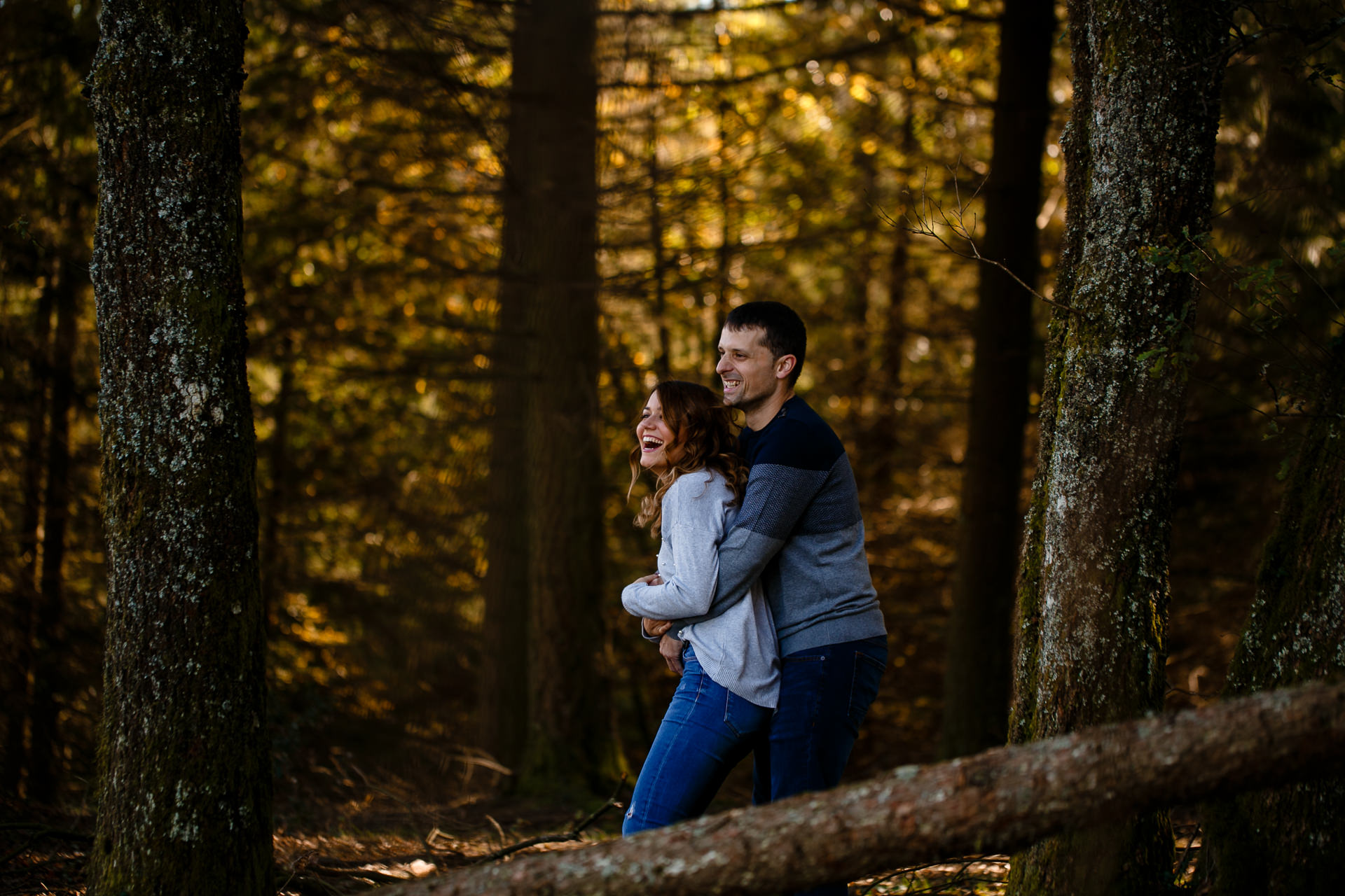 preboda hayedo otzarreta otoño