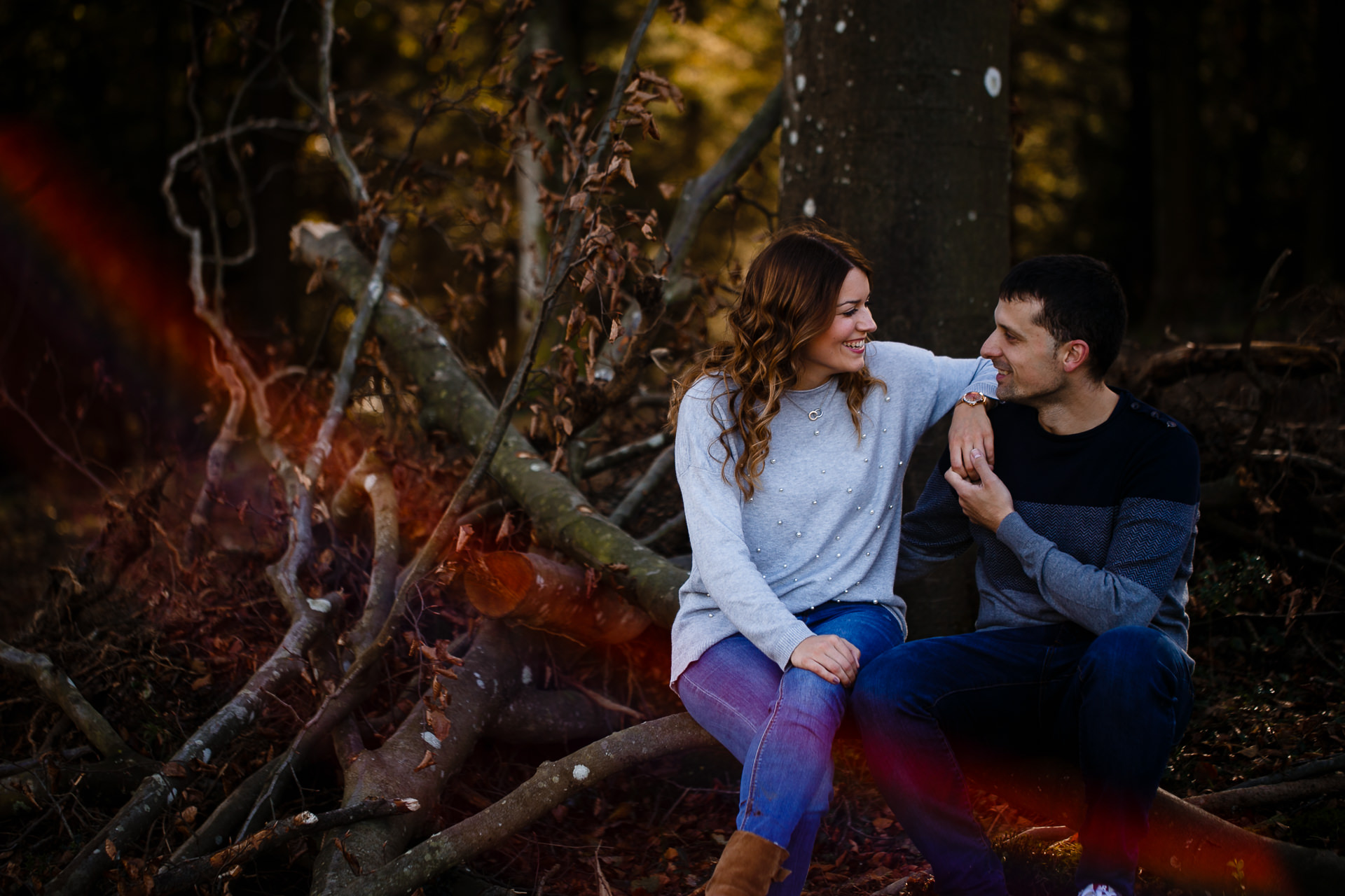 preboda hayedo otzarreta otoño