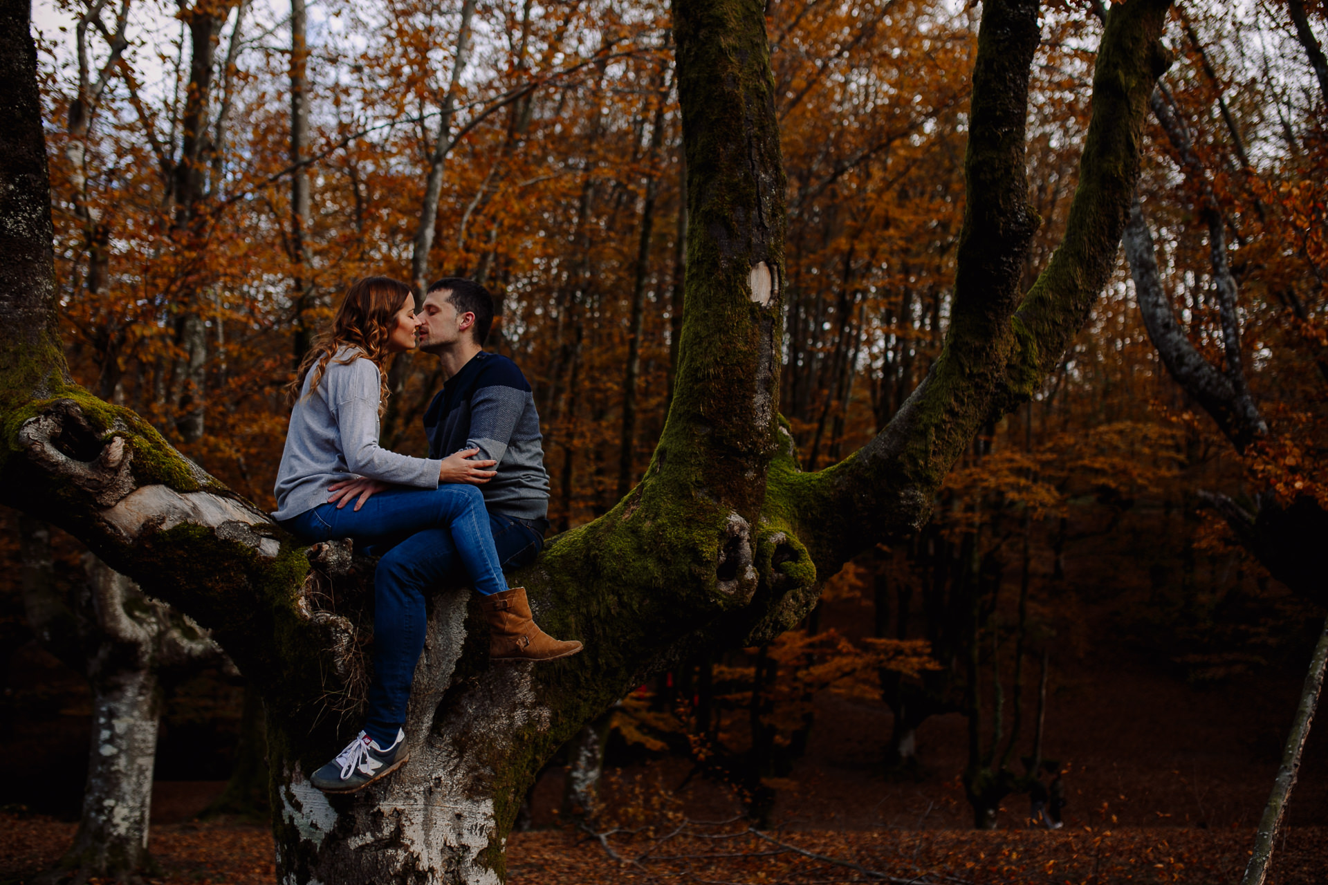 preboda en el hayedo de otzarreta otoño