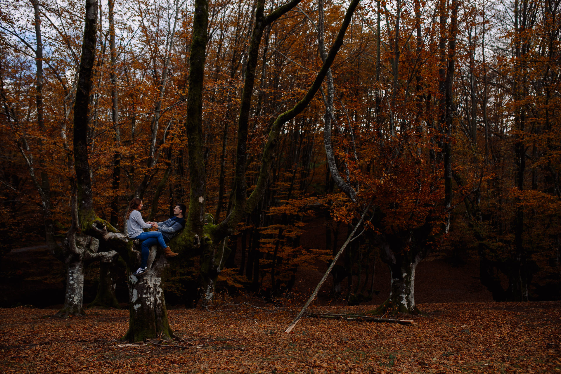 preboda hayedo otzarreta otoño