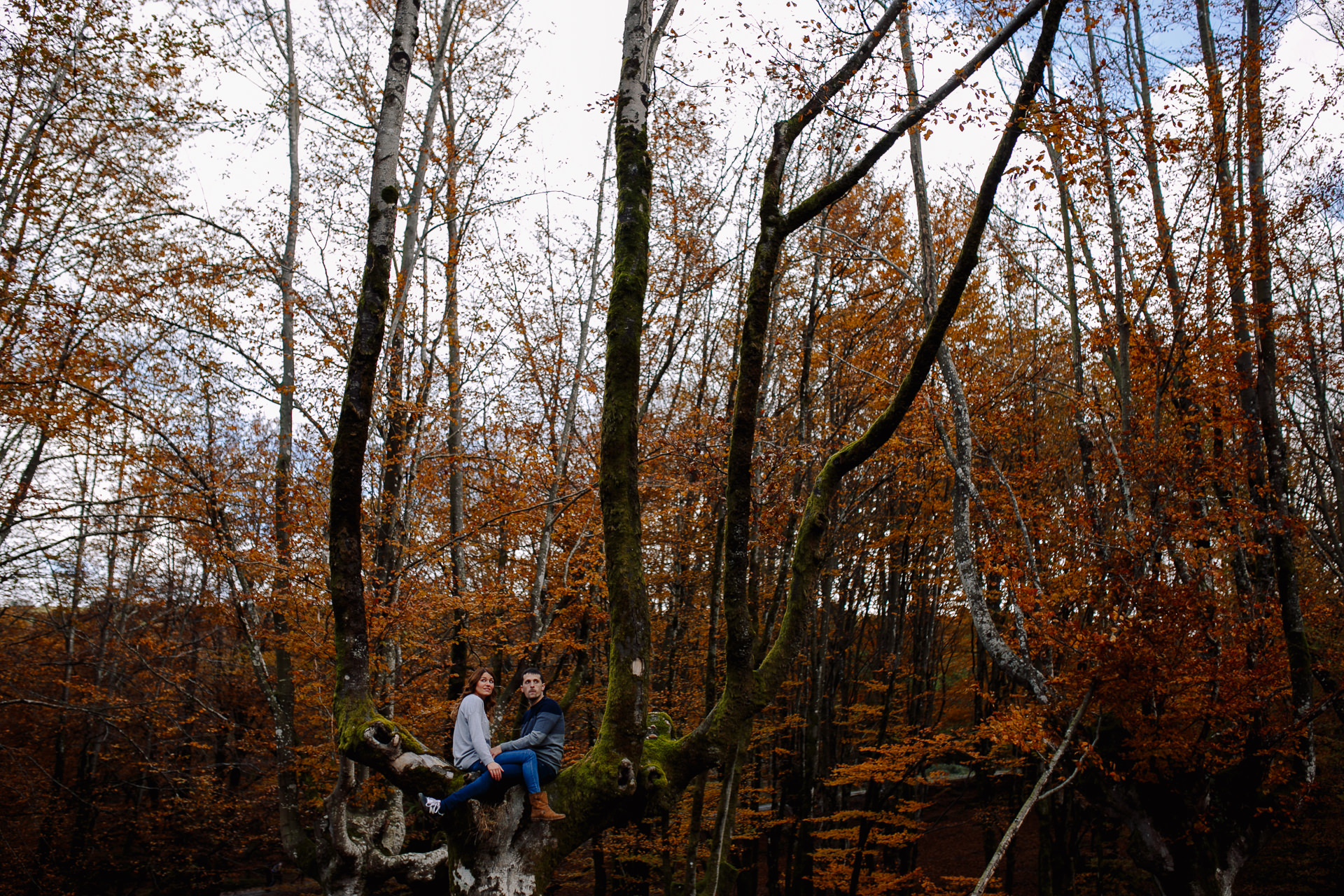 preboda hayedo otzarreta otoño