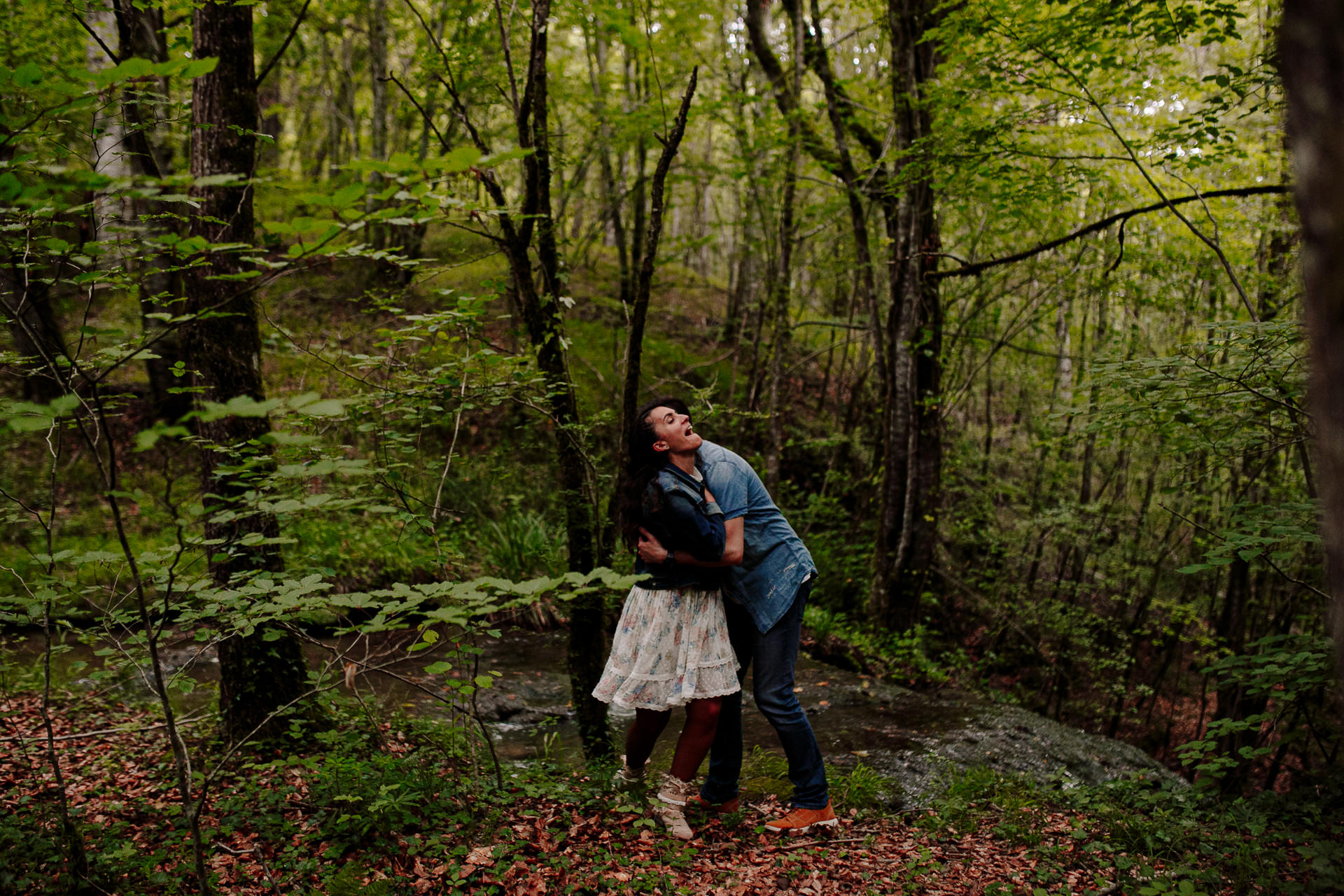 preboda cascada bosque alava 192056