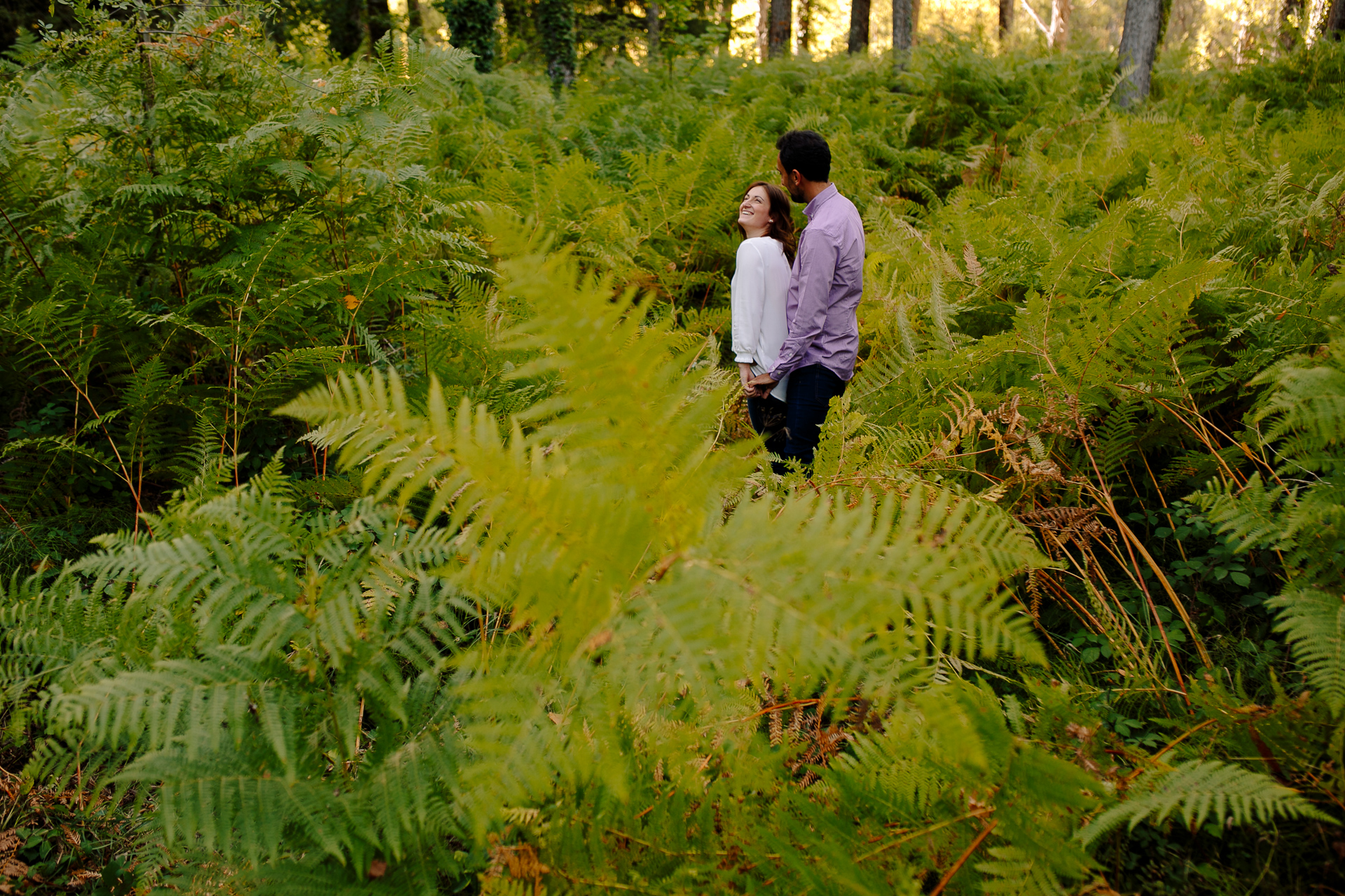 preboda en el bosque finlandes de rascafria