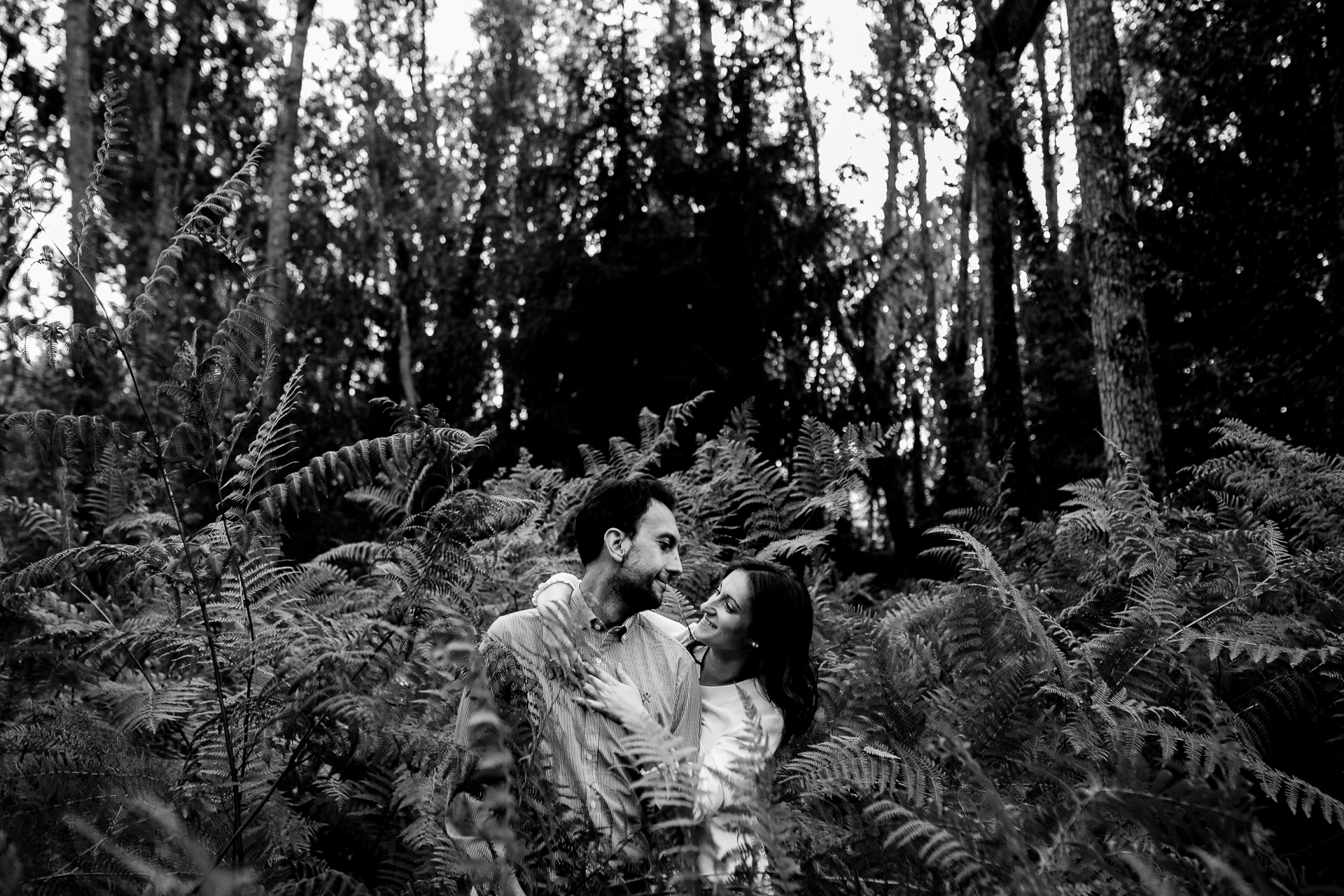 preboda en el bosque finlandes de rascafria