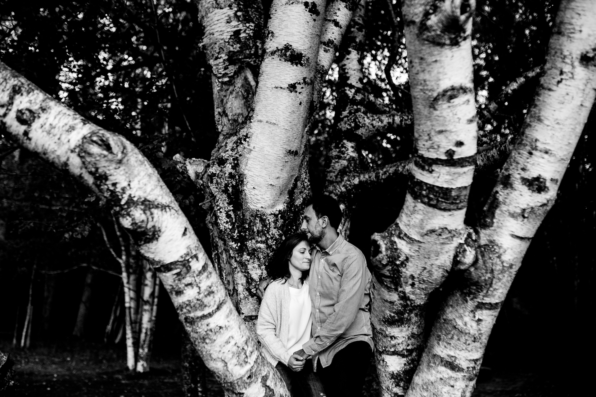 preboda bosque finlandes rascafria