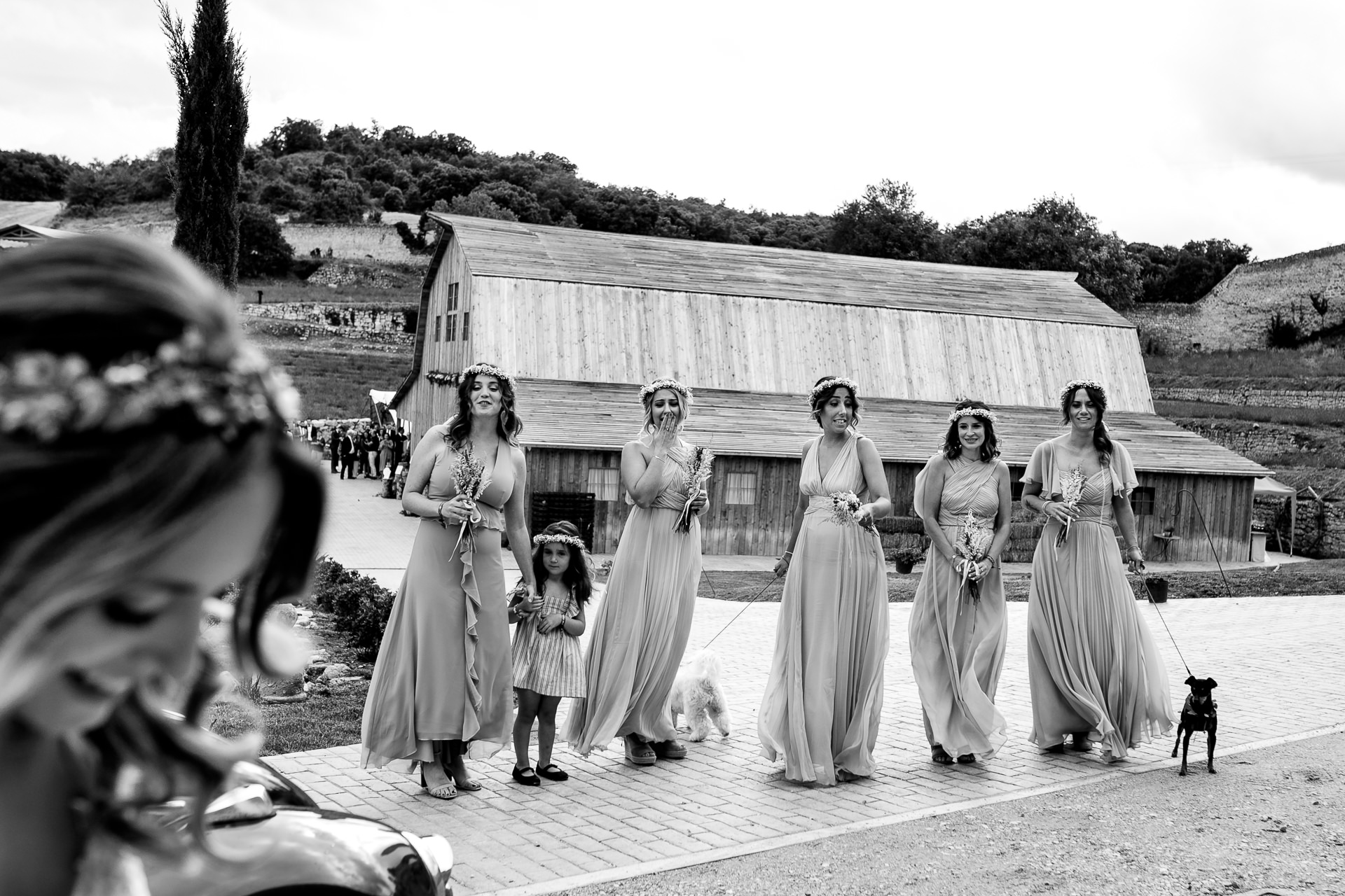  boda en el granero de san francisco